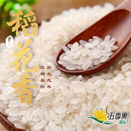 五常市稻花香二号大米  东北大米，五常原粮稻花香2号，产地农户直供