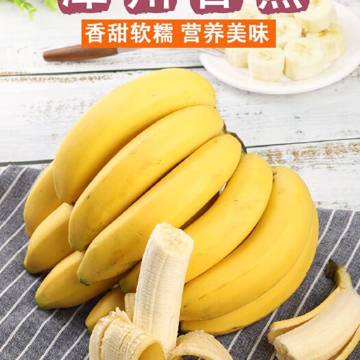  南靖天宝香蕉，支持一件代发，批发