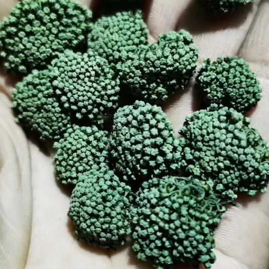 砚山县 云南文山三七花  品质优良，放心购买