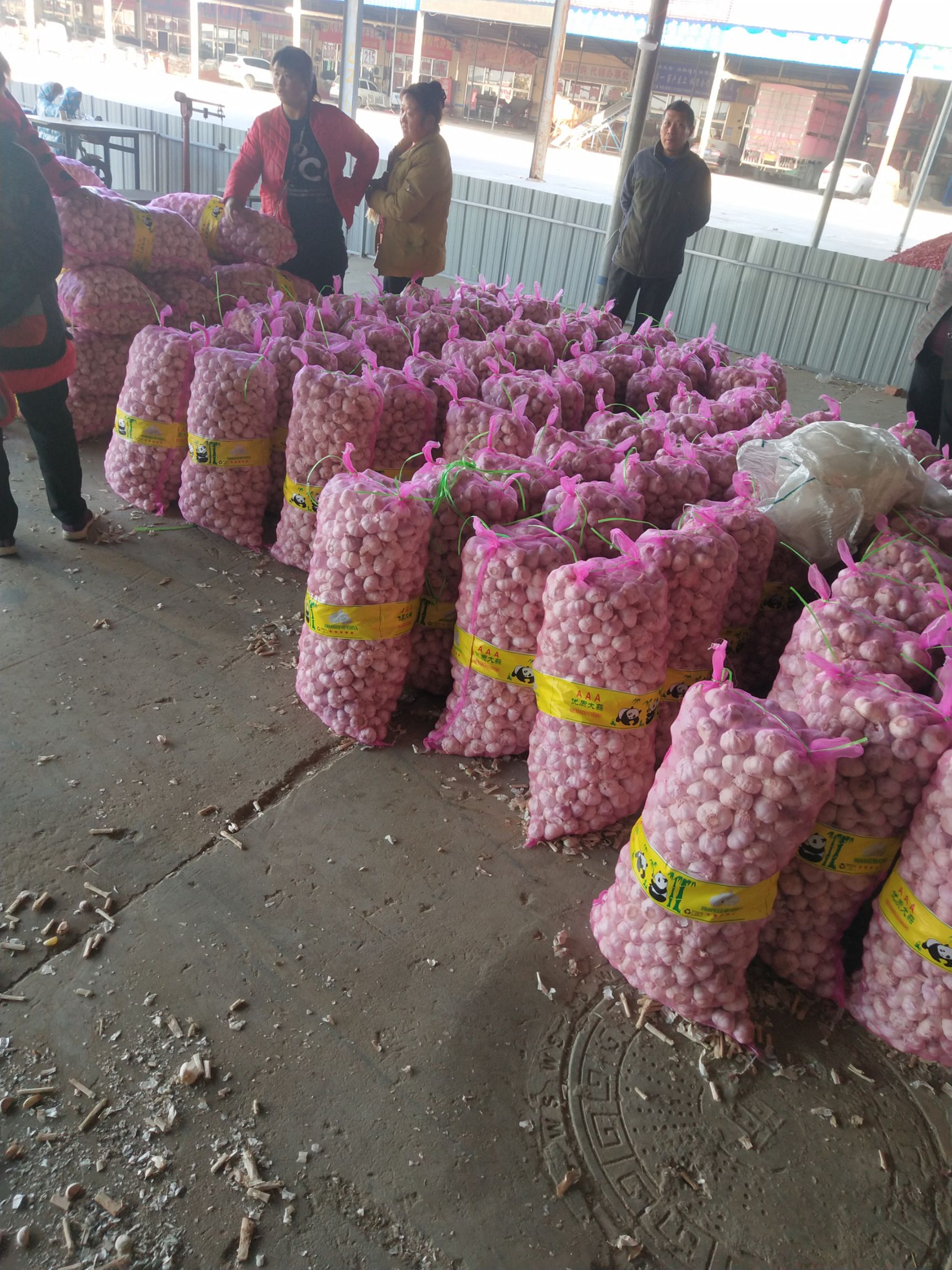 红皮蒜  金乡优质大蒜