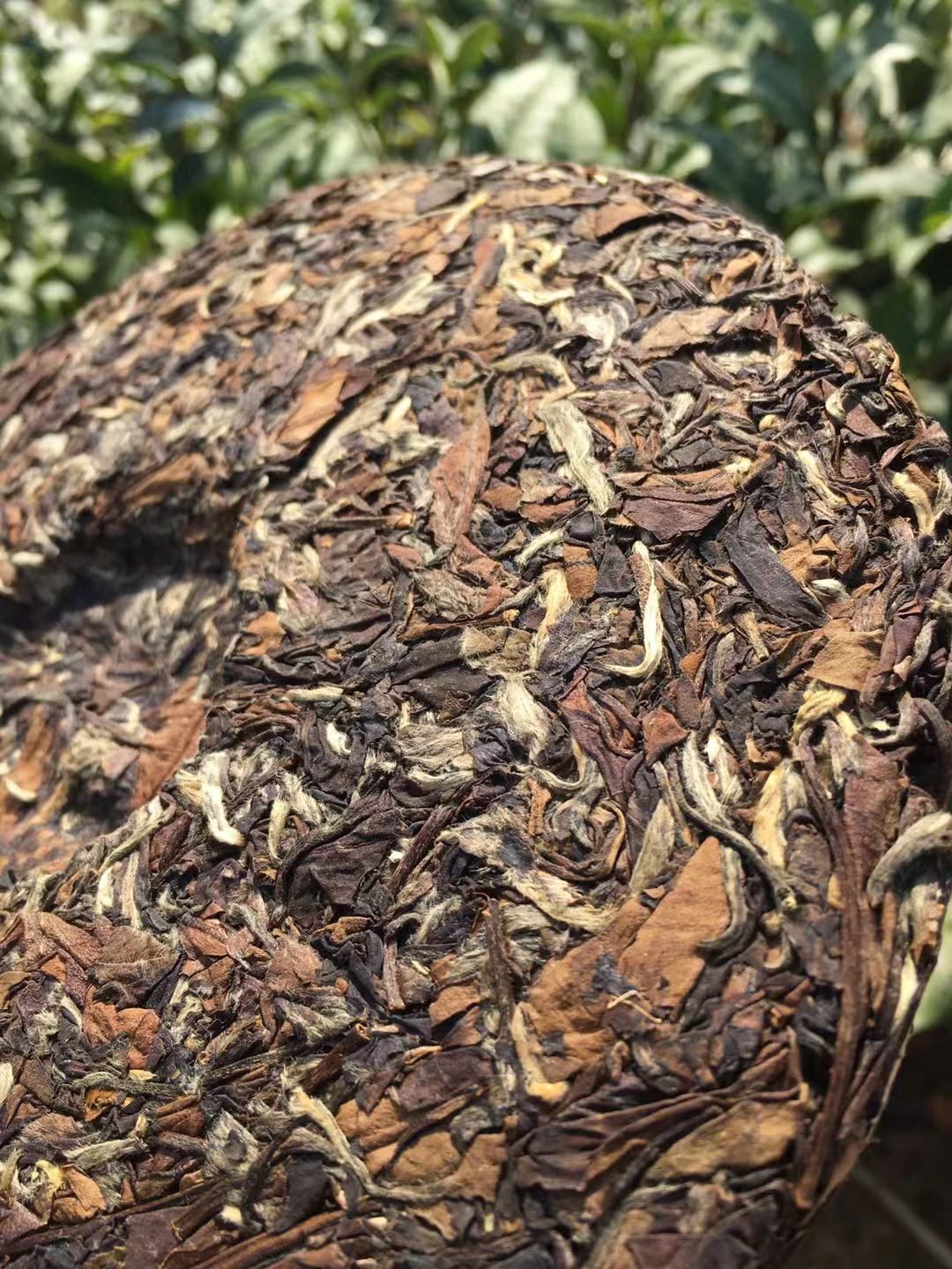 2013老白茶饼福鼎白茶饼寿眉贡眉白牡丹王高山日晒茶好喝