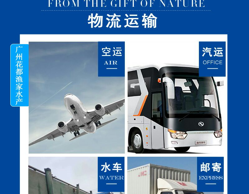 清波鱼鱼苗  清波鱼 倒刺鲃 军鱼苗 青竹鲩鱼 鱼苗批发