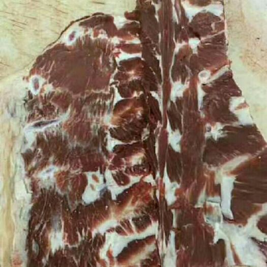 阳信县 优质牛脊骨
