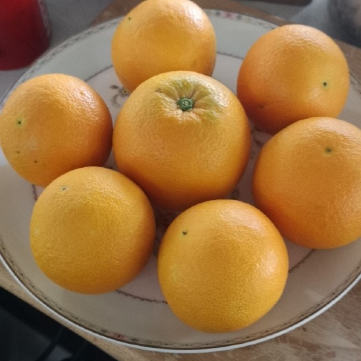  橙子