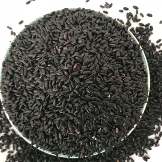 方正县东北黑米 东北黑稻子自己家种的