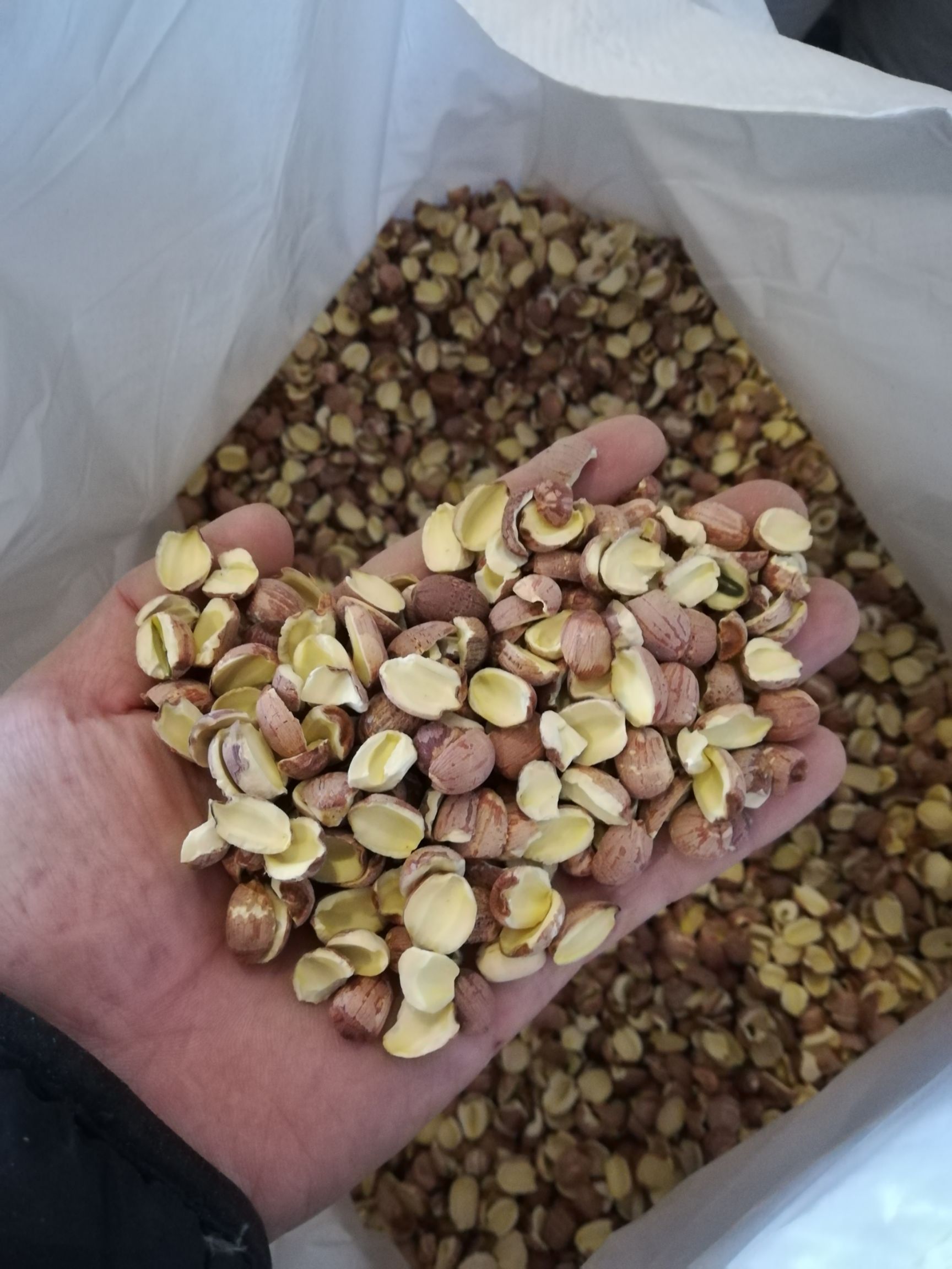 红莲子  泰国莲子 开边莲 酿酒碎莲 无硫 入药 煲粥