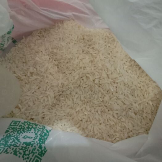 芦溪县杂交 江西萍乡南方水稻