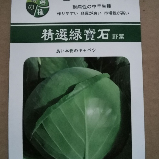 邯郸绿甘蓝种子 绿宝石甘蓝种子 高产卷心菜包菜大头菜深绿圆白菜春秋播