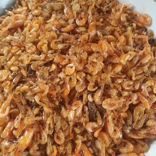 廉江市草虾 天然河虾找个合作老板