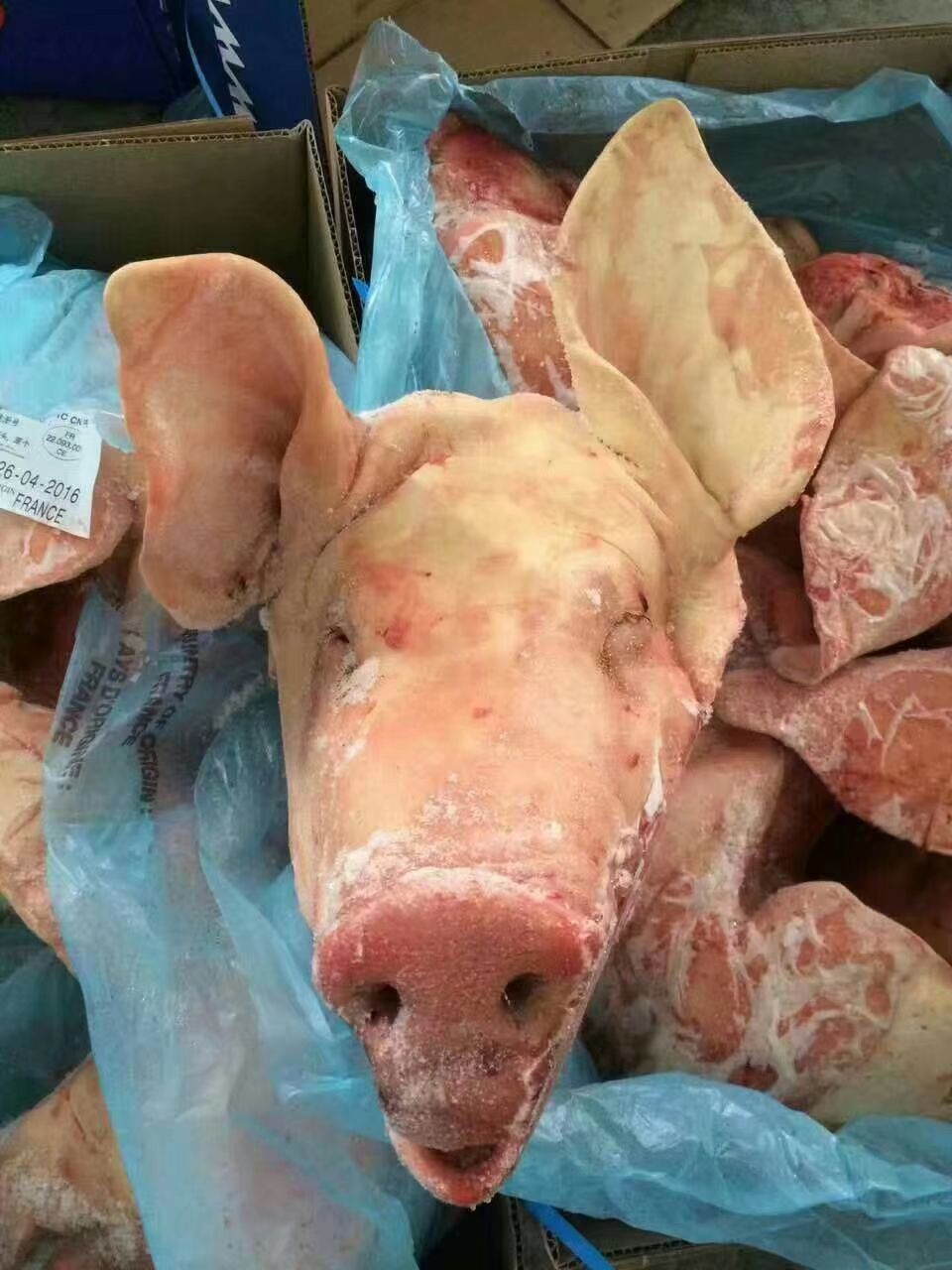  批发各种猪肉冻货，猪副产品，外地可发货！