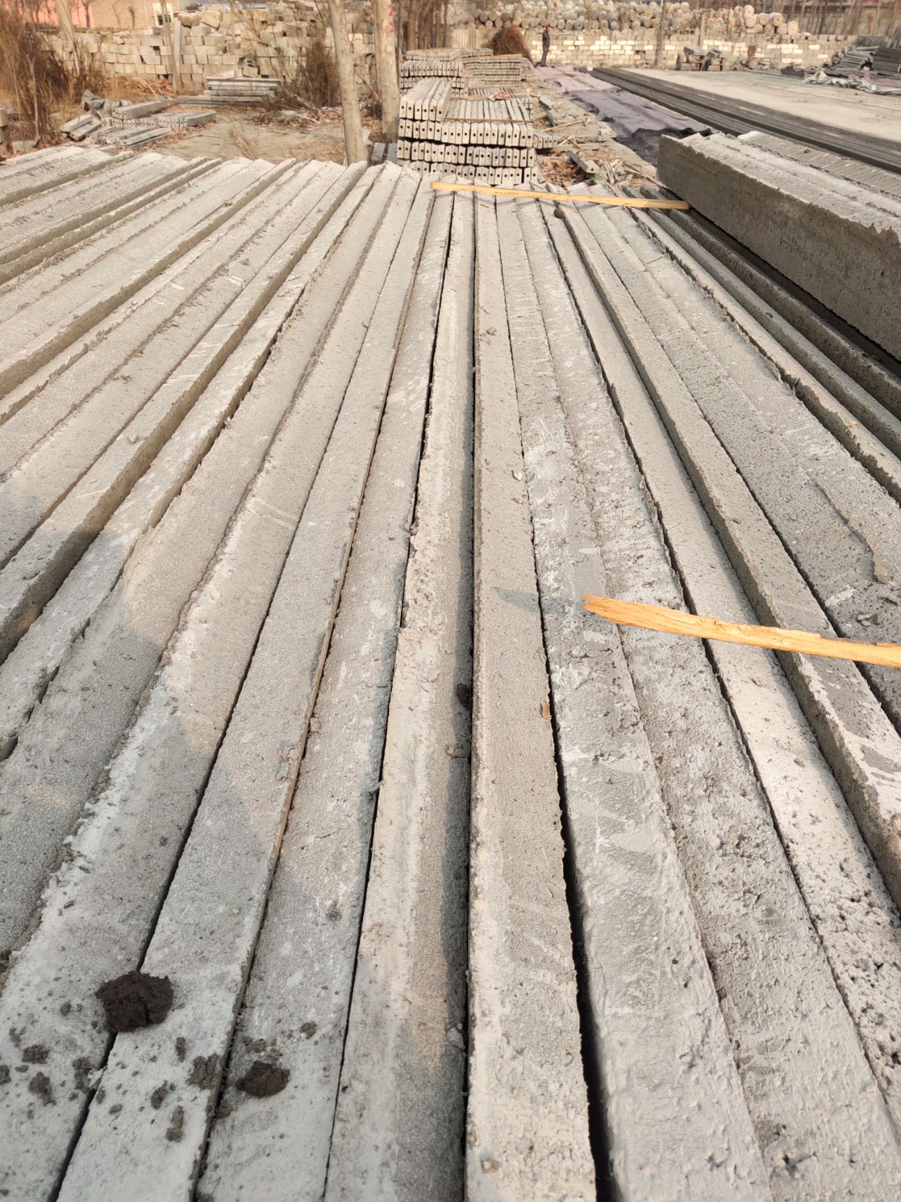  水泥檩条    水泥立柱   葡萄柱   迷糊桃水泥立柱