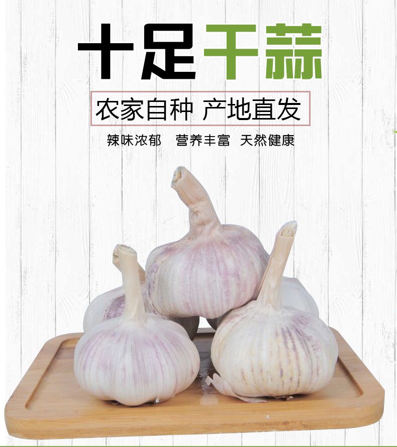 邳州大蒜 2019新鲜干蒜无芯紫白皮蒜出口品质 个头均匀