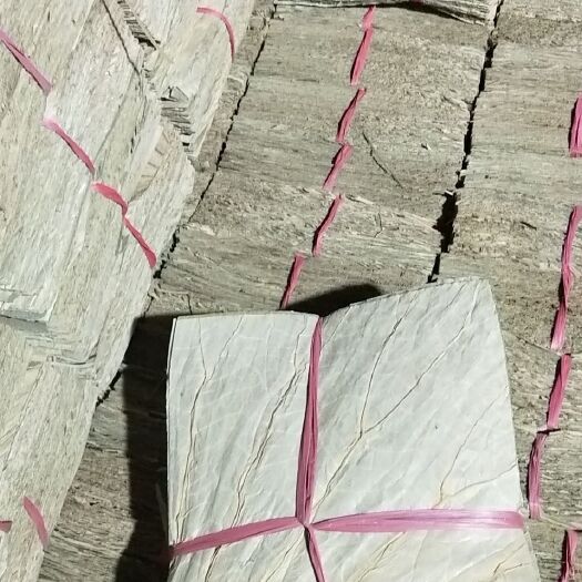 攸县 微山湖天然荷叶切片19*19
