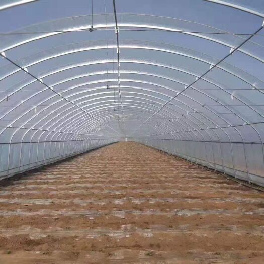天津 成套大棚