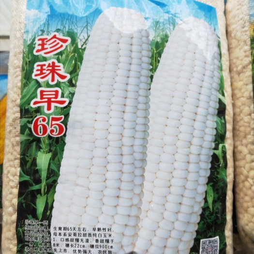 梅河口市珍珠早65  早白甜糯