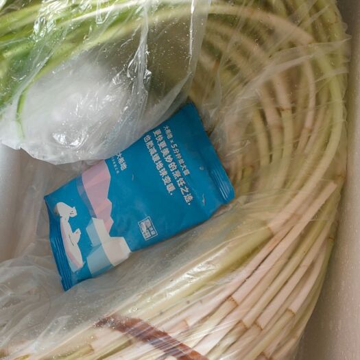 南宁 新鲜水芹菜水芹野菜5斤包邮