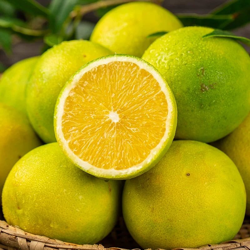 云南冰糖橙哀牢山产地5斤农户种植应季水果新鲜现摘包邮一件代发