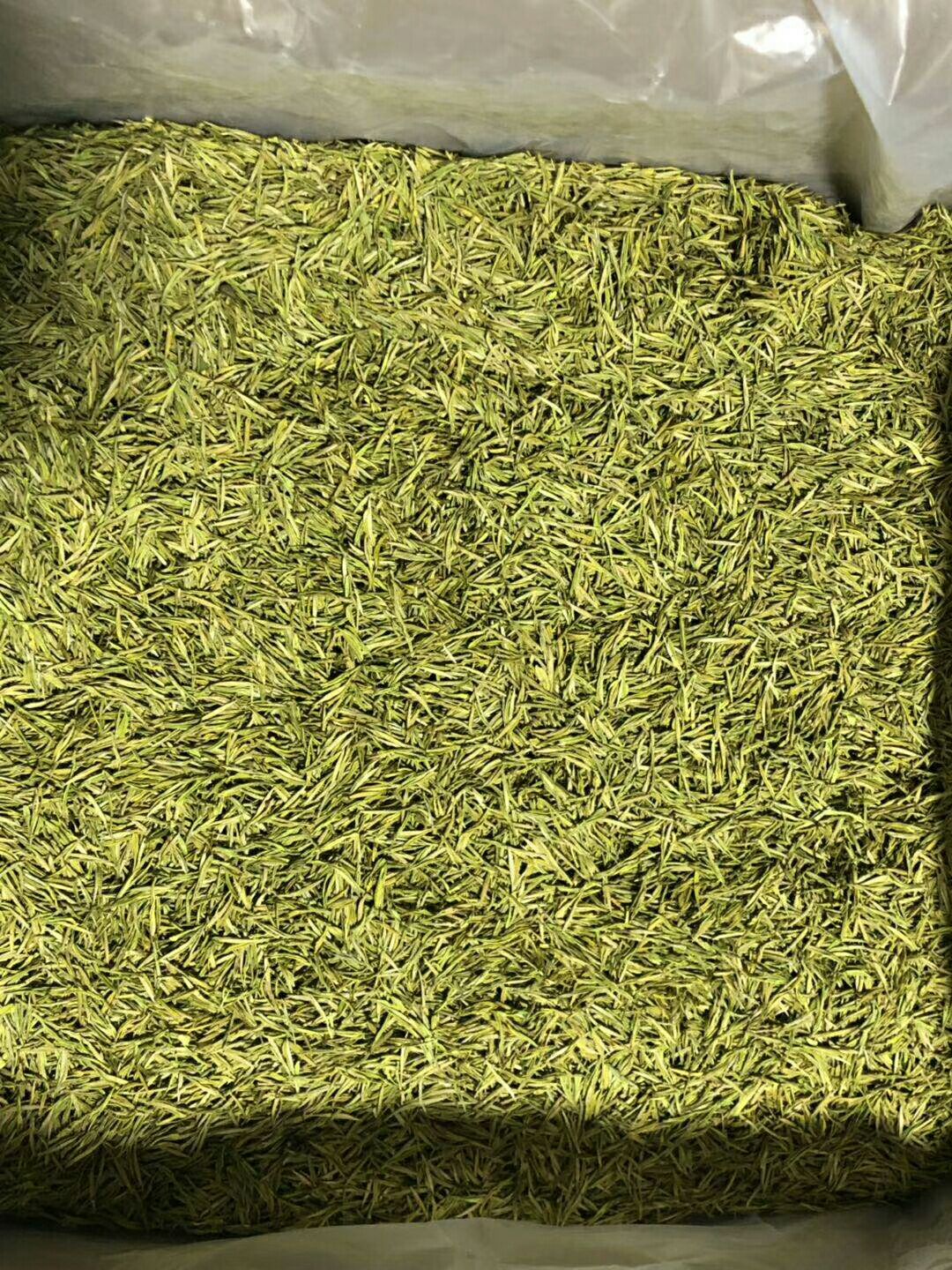 辉白茶 专业种植，加工，销售白茶，龙井。欢迎有需要的老板联系我