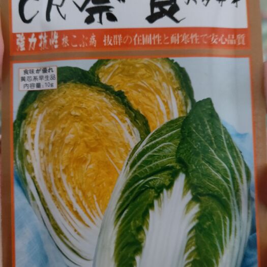 梅河口市白菜种子  奈良