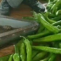 儋州市 海南尖椒