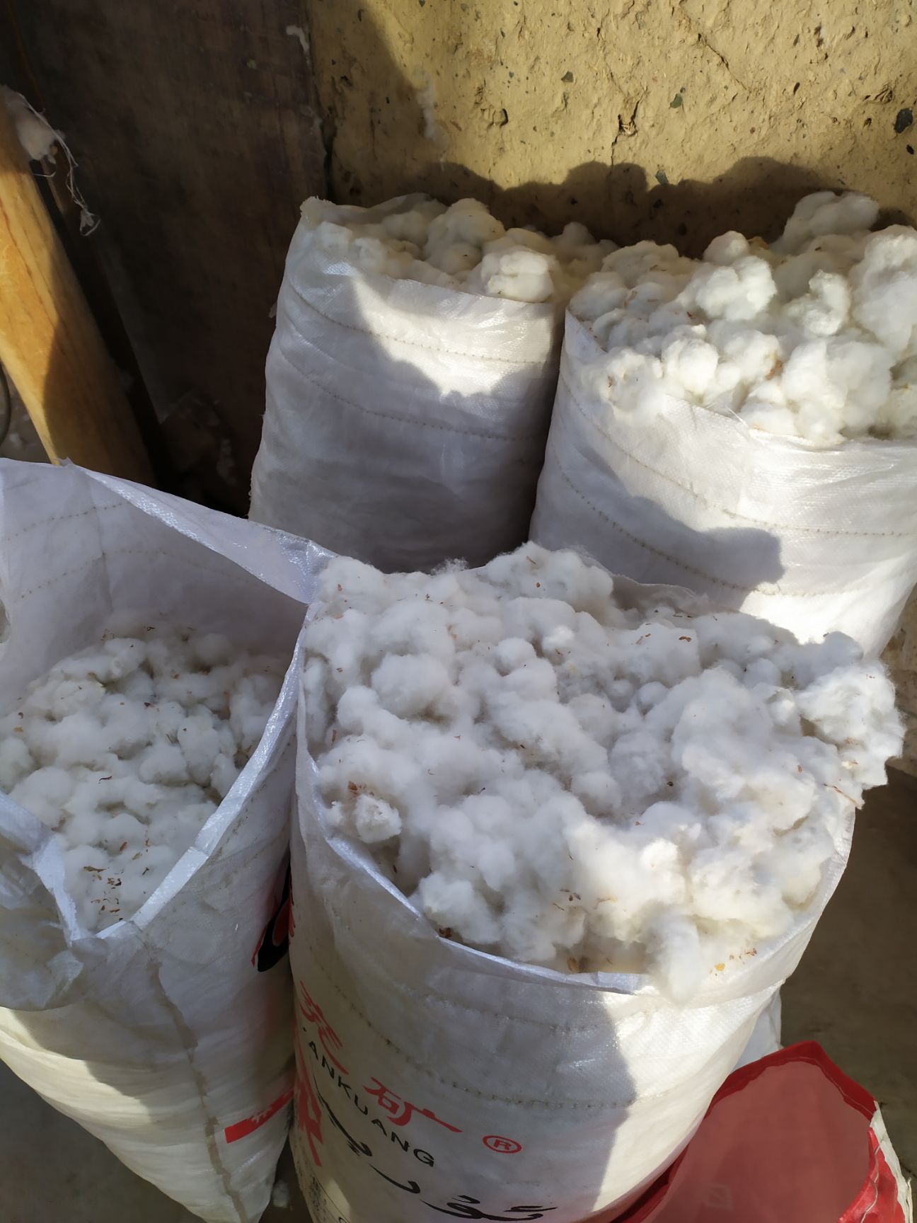 新疆特一級長絨棉花皮棉帶籽棉花支持定制，批發(fā)零售可議價
