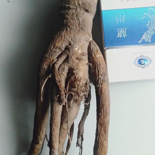 陇西县 当归，天然药材，欢迎光临！