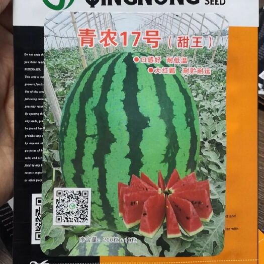 沈阳甜王西瓜种子 最红甜王  青农17号甜王  超级大红瓤，特别红，特别甜