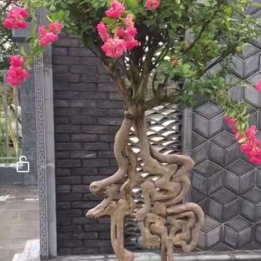 方城县其它苗木 园林艺术字体骨架编织苗木植物造型设计