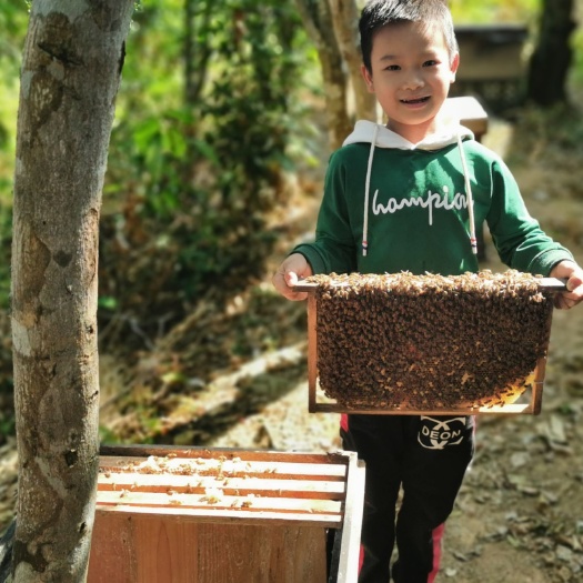 化州市 生态蜂蜜基地