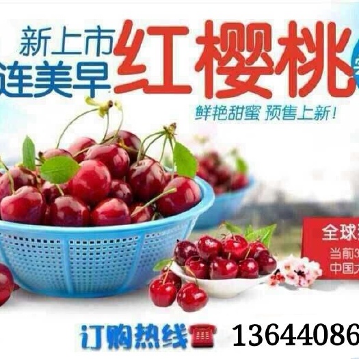 瓦房店市嘎嘎甜的大连大樱桃，自家大棚，可视频供货，支持线上