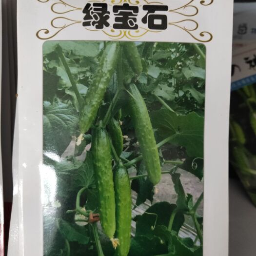 梅河口市黄瓜种子 杂交种 ≥97%