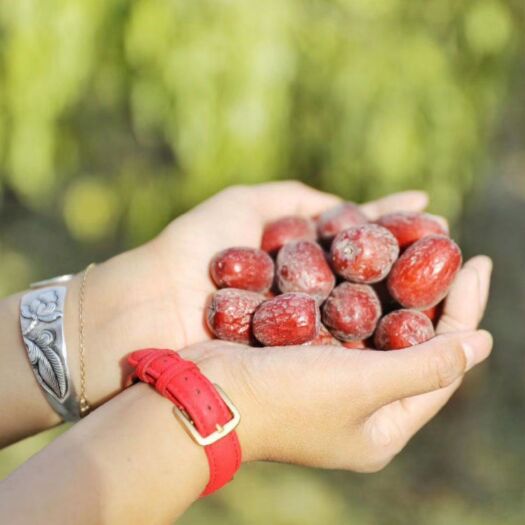  2019年新疆特产红枣灰枣干果孕妇儿童水果零食包邮自产自销