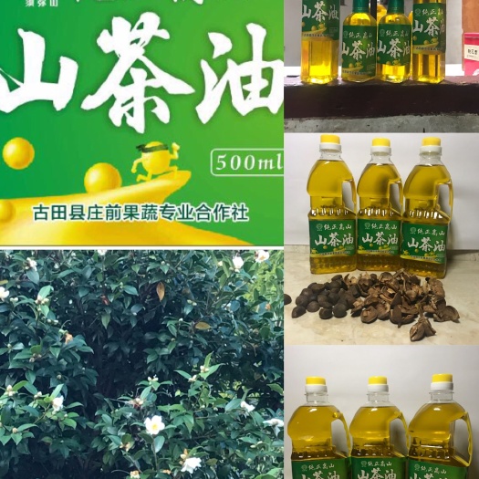 古田县 山茶油，谁用谁说好！
最近精神倍儿爽，因为做饭只用山茶油！