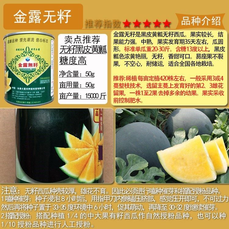 金露无籽西瓜种子黑皮黄瓤无籽西瓜高糖皮薄耐裂耐贮耐重茬大果