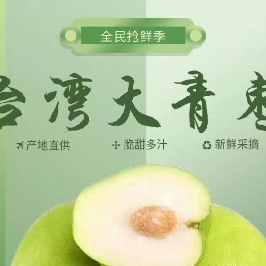 平南县 合作社：青枣种植园，欢迎，批发，零售。