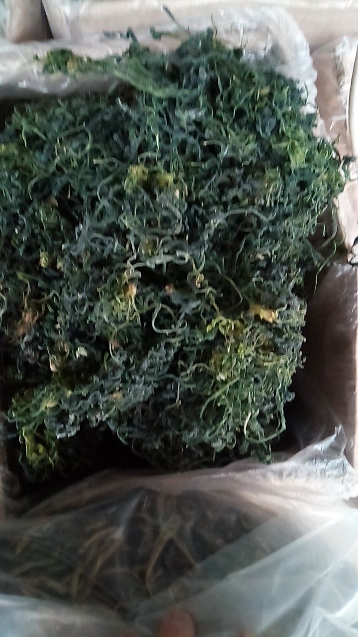 花菜干  花菜干 花菜干