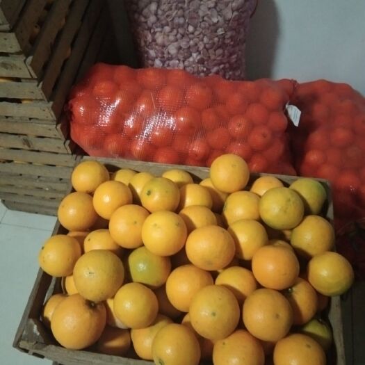 麻阳县 麻阳冰糖橙产地直销