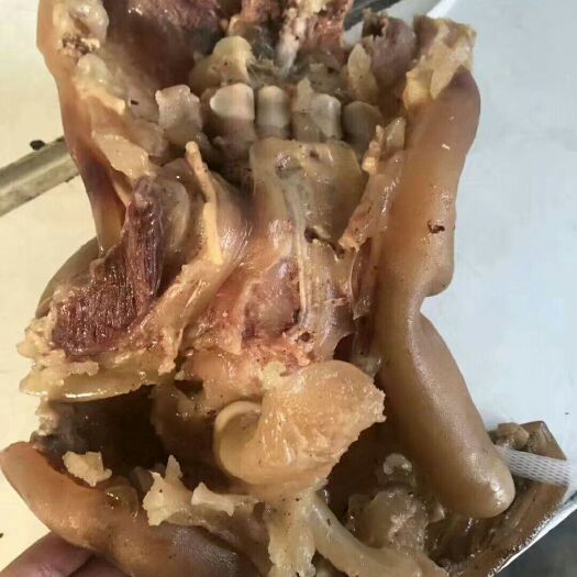 阳信县牛蹄筋  高质量熟牛蹄，品质有保证，常年加工，厂家直销