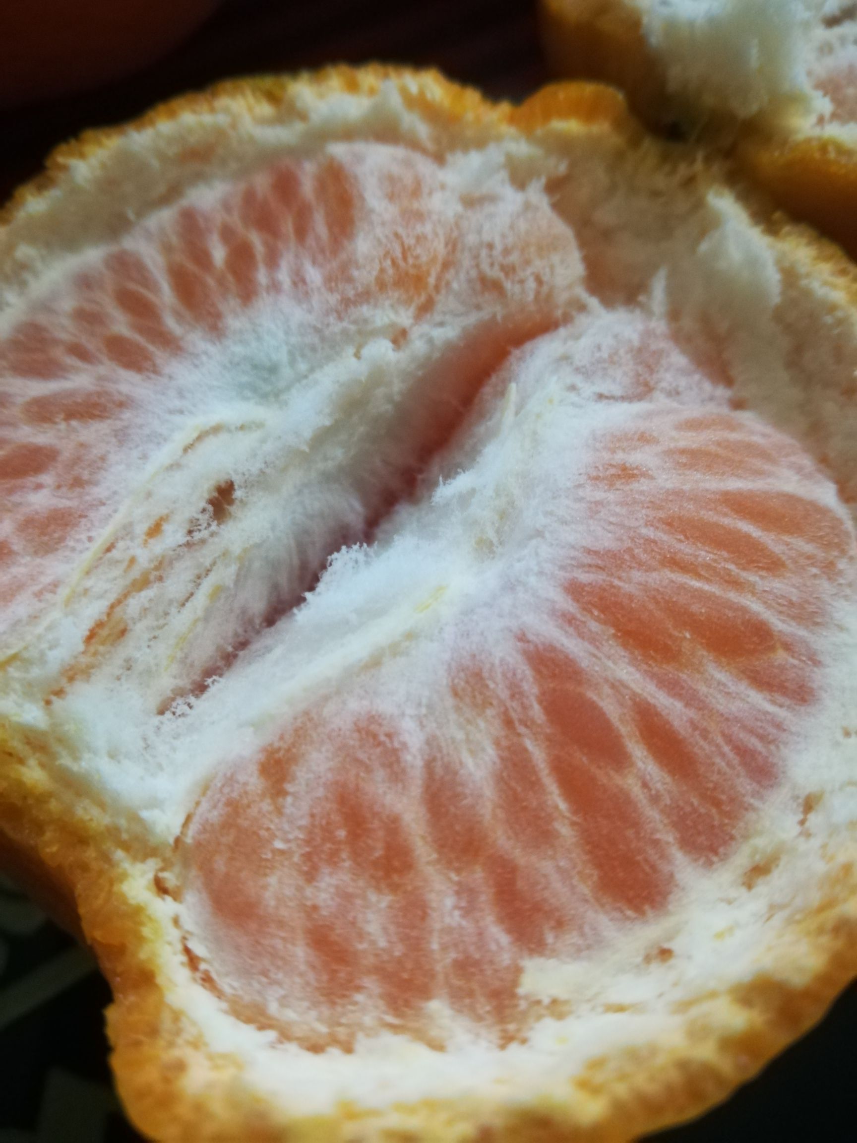  大量椪柑 芦柑 金水柑出售