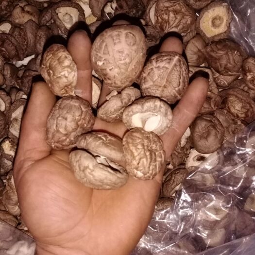 泌阳县 基地直供干香菇，菇质肉厚，醇香，颜色黄白