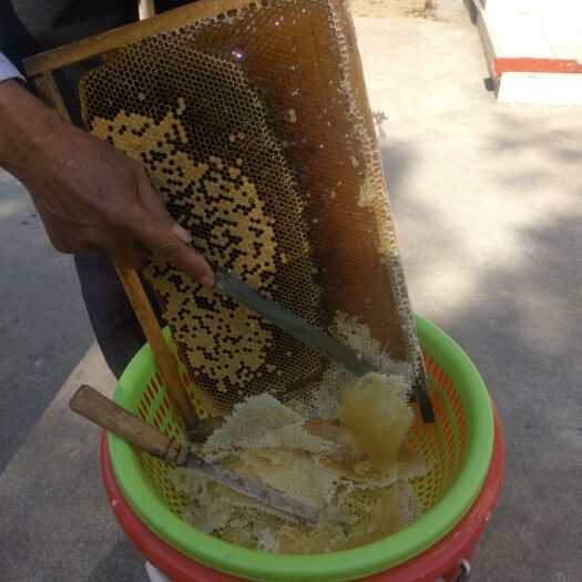 博罗县土蜂蜜 岭南特色鸭脚树蜜