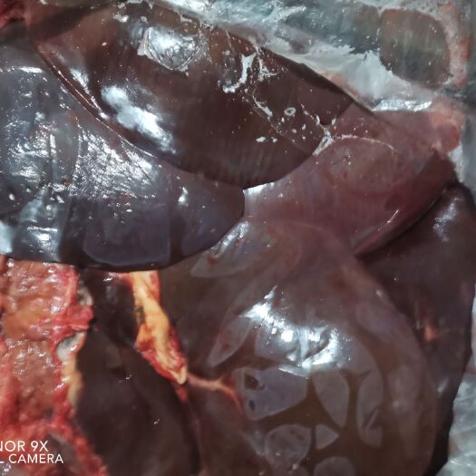 冷库长年批发牛肝,货真价实,价格合理,欢迎采购