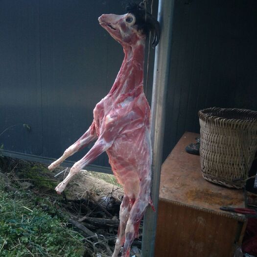 重庆市 乌骨羊肉含黑色素较高，营美丰富，是羊肉类的上上品。