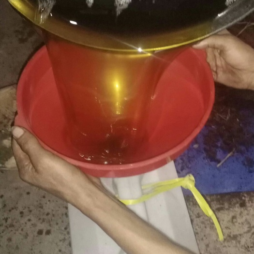浦北县野生山茶油 新鲜的茶油