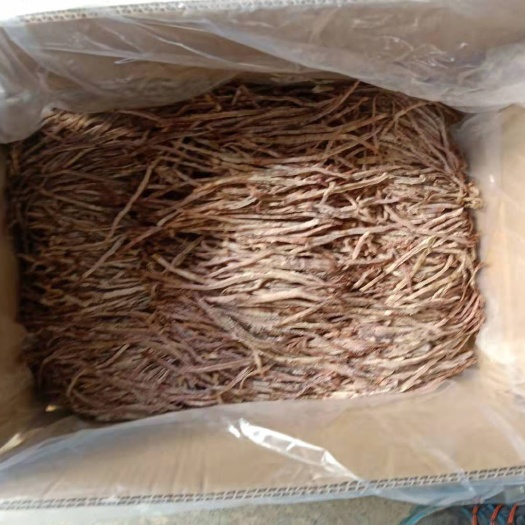 上饶 优质鱿鱼丝現货大量