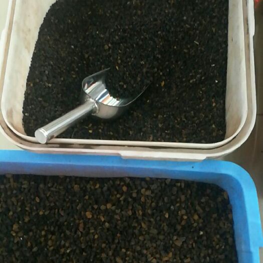 长春 俄罗斯纯正桦树茸全球公认最好的桦树茸产地一手货源