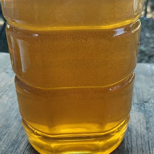 陆丰市 鸭脚木蜂蜜，薄利多销可以看货，取样，邮费自理