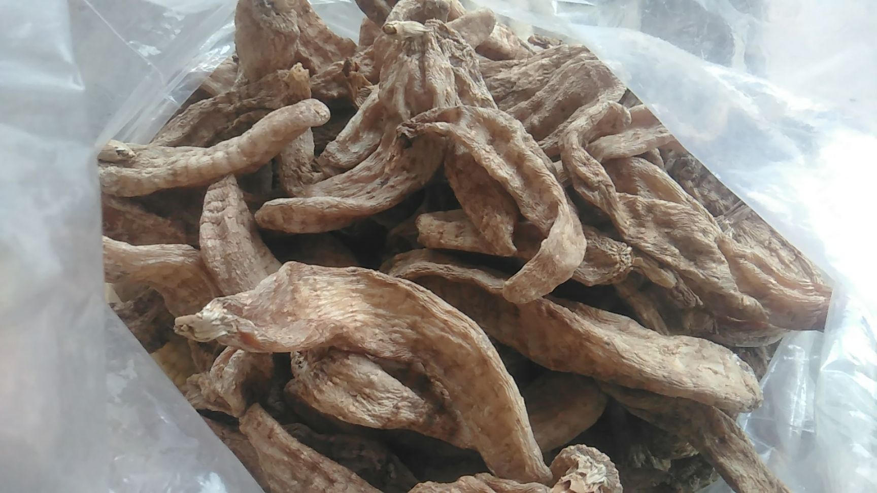 天麻  中药材天麻大统林下露天陕西秦岭无硫原色天然晒干