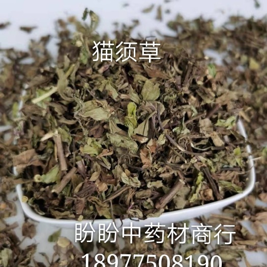玉林猫须草  2斤起批