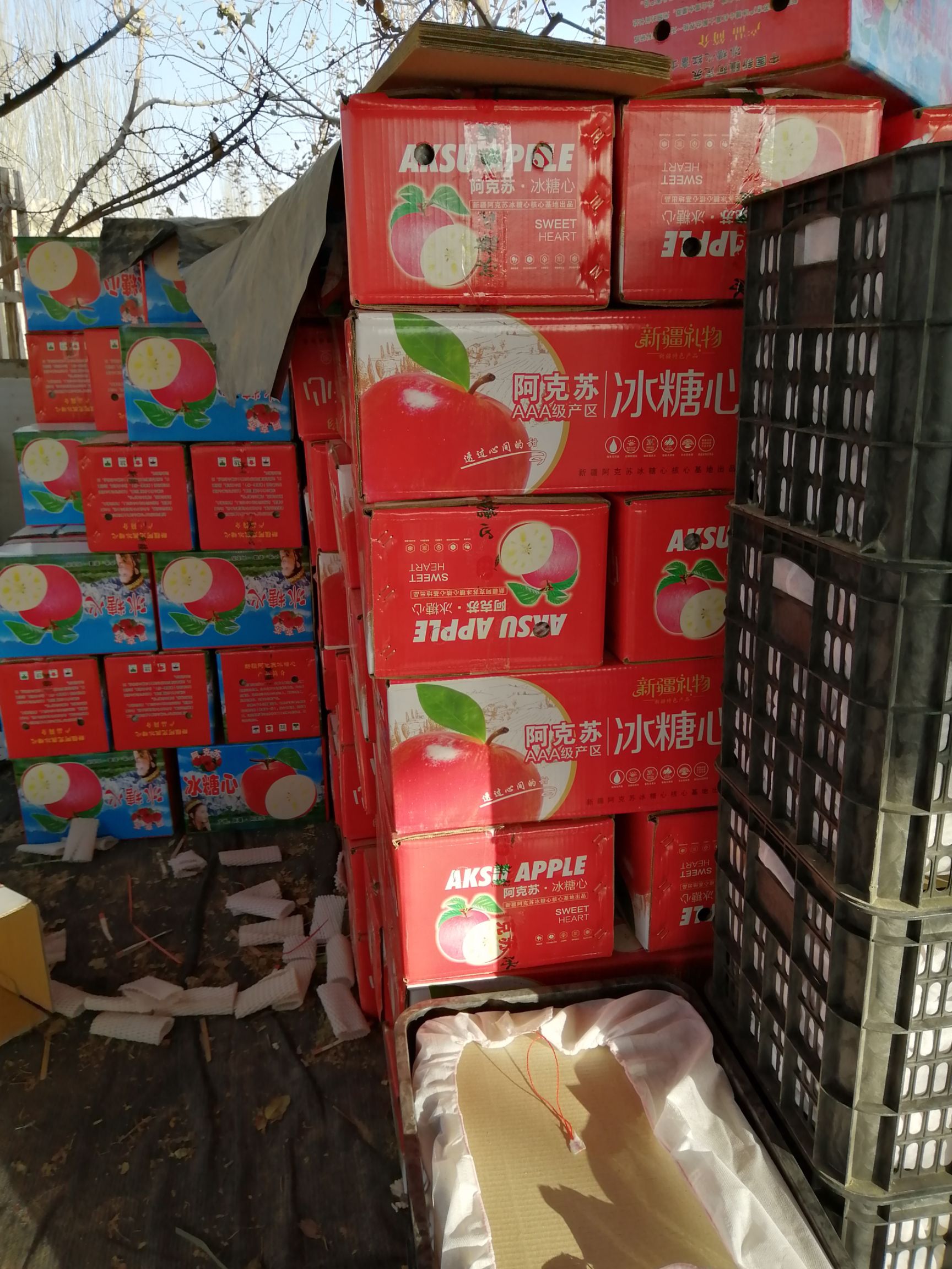 红富士苹果 80mm以上 片红 光果